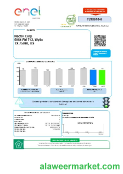 Colombia ENEL energy business utility bill template in Word and pdf formats